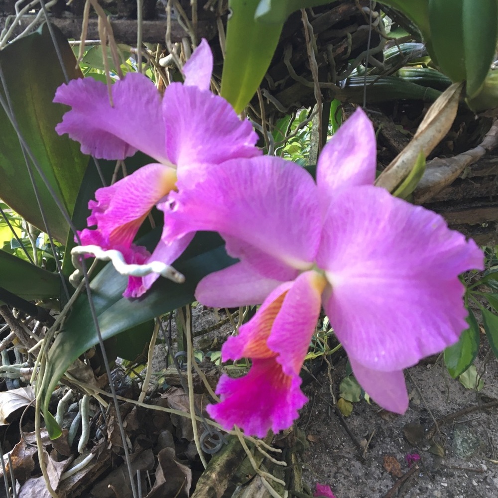 Meet your Posher, Whitney